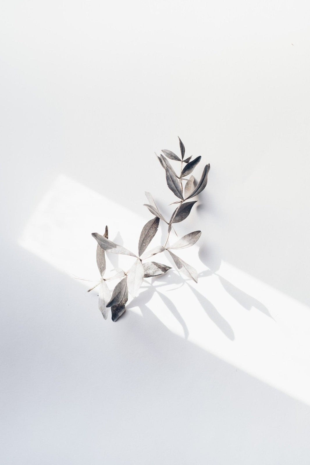 Breaking the Mold: How Niche Perfumers are Revolutionizing the Fragrance Industry - LES VIDES ANGES