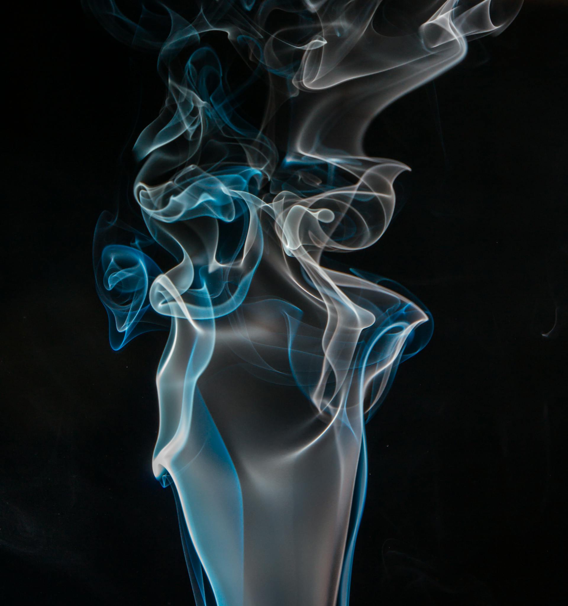 Exploring the Enigma: Why Is Tobacco Perfume So Interesting? - LES VIDES ANGES