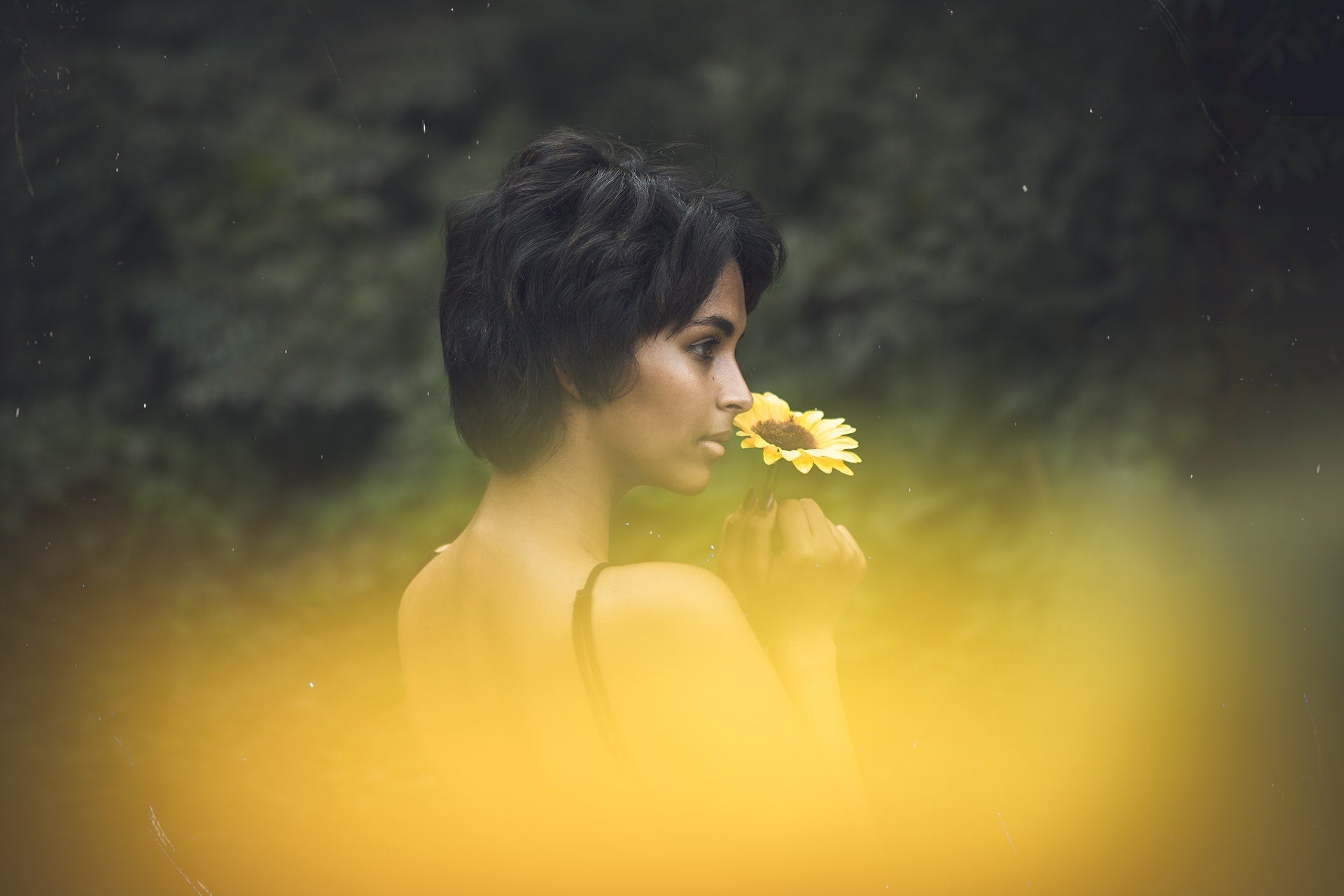 The Secret Life of Your Nose: Unraveling the Science Behind How We Smell - LES VIDES ANGES